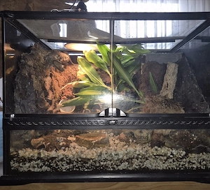 Exo Terra Terarium mit Wasserfall 