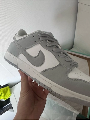 Nike Dunk Grey Frog (43)
