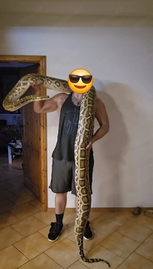 0.1 tigerpython 