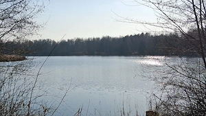 Suchen  Familienhund