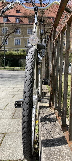 Stadtfahrrad Bavaria Line Lizzard für Damen, 26 Zoll, Nabenschaltung, Nabendynamo, Korb, Beleuchtung Bild 4