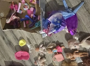 Barbies mit Zubehör 