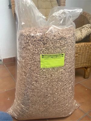 2 männliche Rennmäuse mit artgerechten Zubehör abzugeben  Bild 9