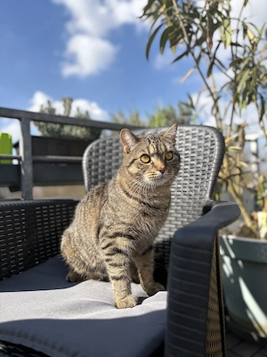 Bhk mix 12 Monate alt 