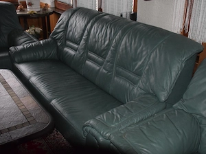 Ledercouchgarnitur in grün