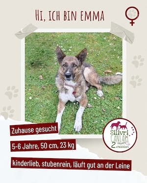 Wunderschöne Emma sucht ein Zuhause