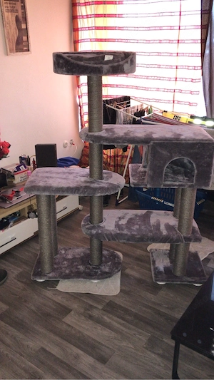 kratzbaum kaum gebrauchs spuren