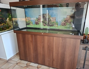 Juwel Aquarium 450 ltr komplett