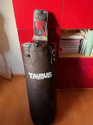 Taurus Boxsack 35 kg, 35x96 cm incl. Kettenaufhängung und Boxhandschuhe neuwertig
