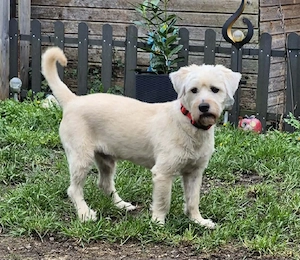 Happy leider nicht Happy 