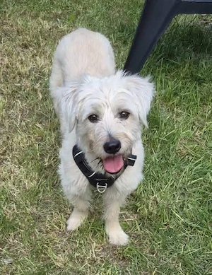 Happy leider nicht Happy 