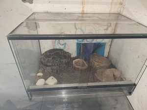 Terrarium aus Glas 60 40 40