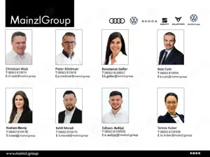 CUPRA Born 62kW ACC 360° CarPlay Klima Bild 3