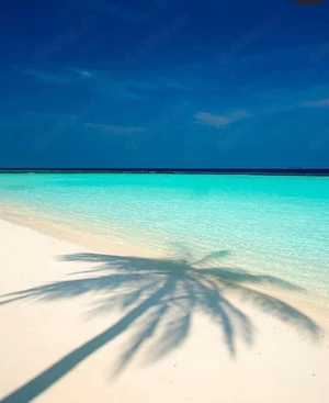 Attraktiver Mann sucht das nette ansprechende Paar für schöne erotische Momente zu dritt...