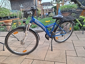 Pegasus Arcona   gepflegtes 26-Zoll Alltagsfahrrad mit Korb, Licht & Federgabel