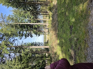 Gemeinsam aktiv: Paar (E-Bike) sucht nette Leute für Freizeit & mehr!