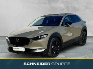 Mazda CX-30 2.5L e-SKYACTIV G FWD Homura KAMERA+NAVI+