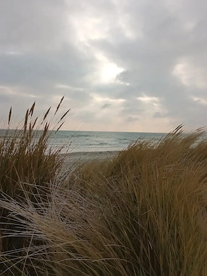 Rubensfrau, 53, sucht dauerhafte Partnerschaft 