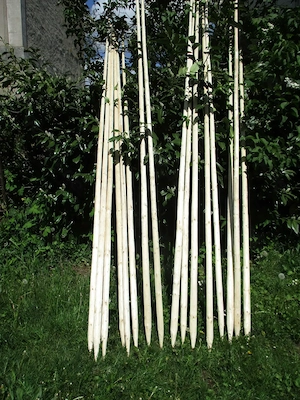 Bohnenstangen aus Fichtenholz