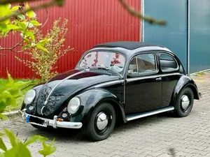 Volkswagen Käfer Ovali