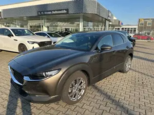 Mazda CX-30 Selection SKYACTIV-G 2.0 M Hybrid Design-Paket BOS
