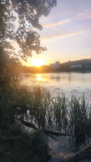 Tantrische Verwöhnung für shaktis und shivas 