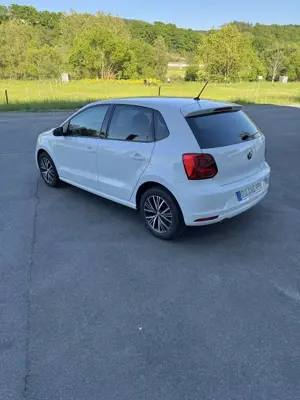 Volkswagen Polo 1.4 TDI Blue Motion Technology Allstar Bild 3