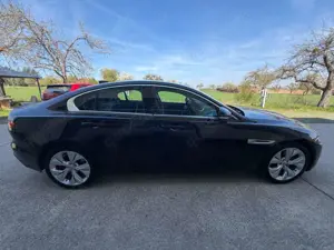 Jaguar XE S*HAGELSCHADEN*LED*SPUR* Bild 4