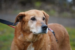 Kira   leise Heldin sucht ihr Glück  Bild 2