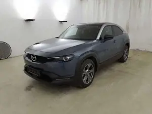 Mazda MX-30 EV Advantage Matrix, Kamera
