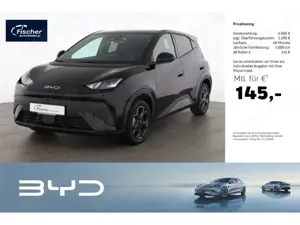 BYD Dolphin Comfort LP: 32.449,- /Top-View/SHZ/DAB