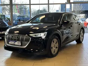 Audi e-tron VirtualCockpit ACC HeadUp LED 360°cam SHZ