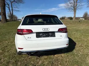 Audi A3 A3 1.6 TDI Sportback S tronic design Bild 4