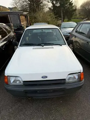 Ford Escort Bild 2