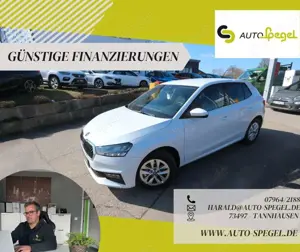 Skoda Fabia Selection LED SHZ LHZ CarPlay 2-Zonen