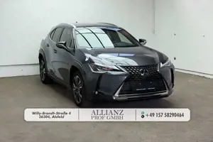 Lexus UX 250h Style Tempo Cam 2-Zonen LED UNFALL
