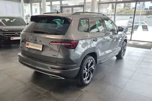 Skoda Karoq Bild 4