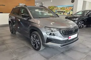 Skoda Karoq Bild 3
