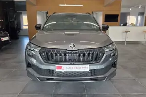 Skoda Karoq Bild 2