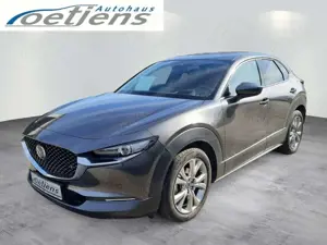 Mazda CX-30 Selection Design-Paket 122 PS Automatik AH