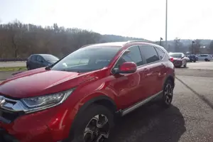 Honda CR-V CR-V 1.5T 4WD CVT Lifestyle Bild 3