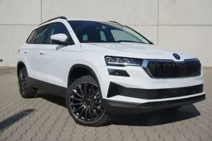 Skoda Karoq 2.0TDI DSG 4x4 Navi/Mirrorl AHK Kamera 19"