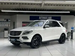 Mercedes-Benz ML 250 CDI BlueTec 4MATIC Schiebed. Spurh.Kamera
