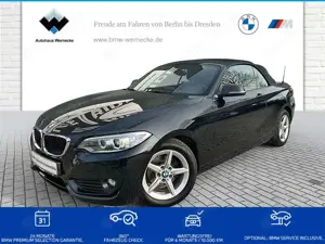 BMW 218 i Cabrio Advantage Xenon Navi Bus. Tempomat