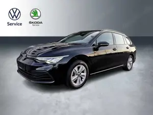 Volkswagen Golf Golf VIII 1.5 TSI Life Kamera Sport-Komfortsitze