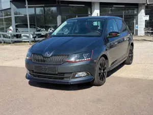 Skoda Fabia Monte Carlo *Pano*1.Hand*8-Fach*