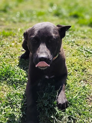 Zuordnungsmerkmal 27L - ich suche eine Familie und auch noch einen Namen