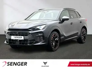 CUPRA Terramar 2.0 TSI 4Drive VZ Stauassistent Kamera