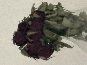 Aktiv suche Sissy Devot Tv Cd Ts Ftm ts passive Ohne finanzielle Interesse 