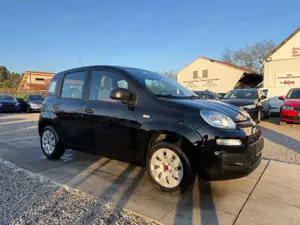 Fiat Panda Easy Sportsitze Sport Lenkrad